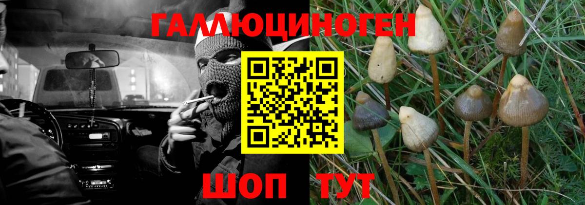 Псилоцибиновые грибы мицелий Фролово